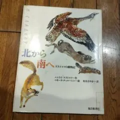 Item thumbnail for item 6cfcf893-dcd9-4df0-a243-9f9e5a7f6a2a