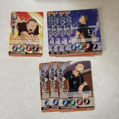 ハイキュー　バボカ　田中龍之介