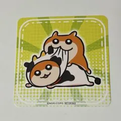 まぴ様専用 クソハムちゃん もぐもぐパーティ コースターのサムネイル