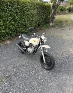 エイプ50 エイプ ホンダ 原付 50cc バイク 滋賀県 滋賀 滋賀県から