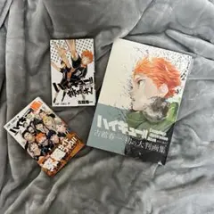 ハイキュー!! 画集 ガイドブック セット売り