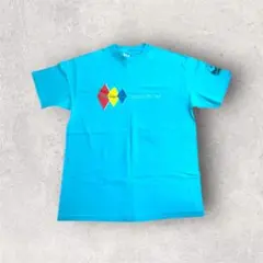 y*3様 古着 80s USA製 Tシャツ ヴィンテージ ブルー Lsize