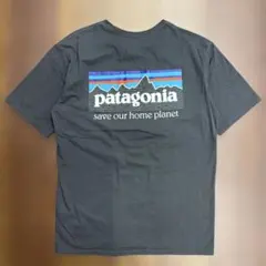 P*˚様 patagonia Tシャツ 半袖 バックプリント 古着 薄茶色 Sサ