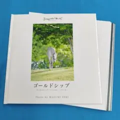=裁断済 ゴールドシップ写真集ファンVer.「クール」
