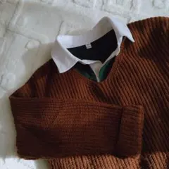 earth music&ecology ブラウン Vネック ニット 長袖