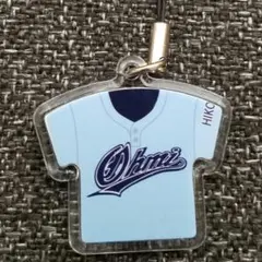 第107回全国高校野球選手権 聖隷クリストファー ビッグユニフォーム