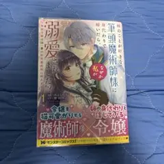 姉のことが好きな筆頭魔術師様に身代わりで嫁いだら、なぜか私が溺愛されました!?