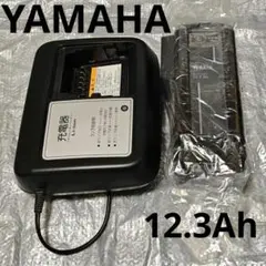 2026年最新】x0t-82110-20の人気アイテム - メルカリ