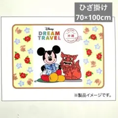 ディズニー ブランケット 70×100 cm