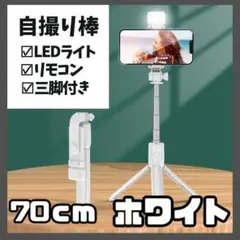 Item thumbnail for item c2a8c7c9-a465-4dfd-9473-2a28beae06fa