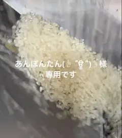 か*え様 令和7年度産 コシヒカリ 20kg JA東西しらかわ 保有米 玄米