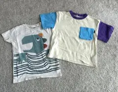 Next/他　子供Tシャツ【110cm】 半袖