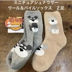 Item thumbnail for item 932256aa-bf54-4ace-b06b-ee93e5e8993b