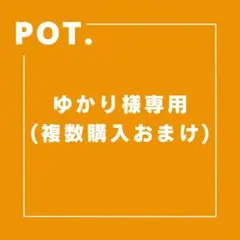 ゆかり様 リクエスト 2点 まとめ商品