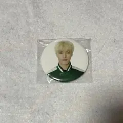 SEVENTEEN セブチ ディノ follow 缶バッジ