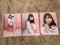 = LOVE 佐々木舞香 モーリーファンタジー 生写真 コンプセット