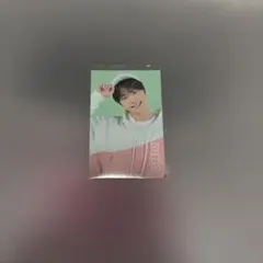 seventeen caratland ディノ