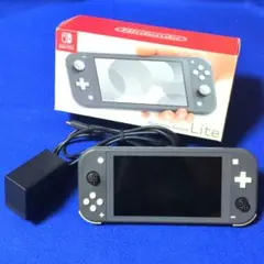 任天堂スイッチライト(グレー) 初期化済み SDカード付き 動作品(ジャンク品)