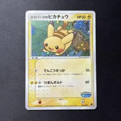 ポケパークのピカチュウ PCG ポケパークプレミアムファイル