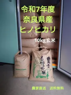 お得】長崎県島原半島産ひのひかり玄米10㌔ - メルカリ
