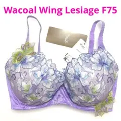 Item thumbnail for item e4cbbd1f-9f95-41ba-a4d1-853181089da1