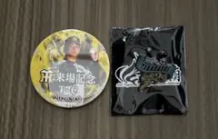 阪神タイガース 高橋はると　2026.9.9 来場記念 缶バッジ とピンバッジ