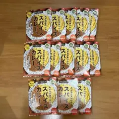 vegara ヴィガーラ スパイスカレー 13個セットのサムネイル