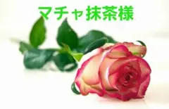 Item thumbnail for item 77907874-5692-4cd5-bf19-bcccb723f70b