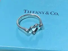 Tiffany & Co. ルシダ プラチナ ウェディングバンドリング 17号 - メルカリ