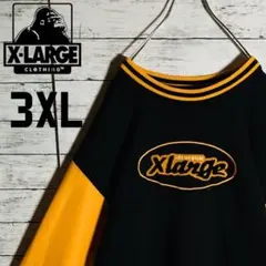 【美品】エクストララージ☆センターパイルロゴ　刺繍　パーカー　頑丈　3XL相当