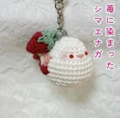 Chii⋆*ೄ様 リクエスト 3点 まとめ商品