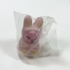 StrayKids SKZOO ライトマスコット ガチャ トゥエッキ チャンビン