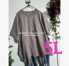 6637新品⭐️5L〜6L＊綿100%エニワイズ＊オーバーサイズTシャツ