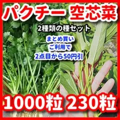 パクチー＆空芯菜の種セットのサムネイル
