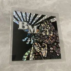 ✨目出鯛✨様 リクエスト 2点 まとめ商品