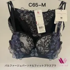 ワコール／パルファージュパーソナルフィットプラスブラブラジャーとソングC65M
