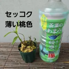 へのかっぱ様 リクエスト 2点 まとめ商品