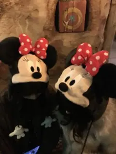 ミニーちゃんのファンキャップ