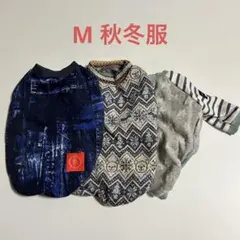 Item thumbnail for item c0c3b33d-6b88-423e-9a45-8ac5de1b30ed