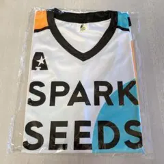 Item thumbnail for item 72f81b13-5769-461e-96b1-e00cb1331b1c