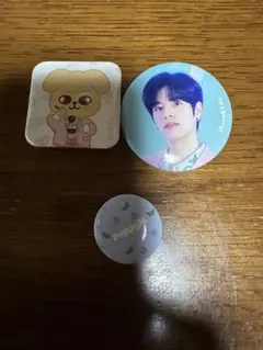 Straykids スンミン 缶バッジ 缶バッチ stray kids スキズ スンミン 直筆サイン入り缶バッジ - メルカリ