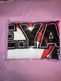 矢沢永吉 ミュージシャン