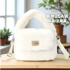 セール　韓国限定　ノースフェイス　BUBBLY　ミニトートバッグ　ファ
