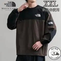 ︎⭐️【韓国限定】ノースフェイスALBANY EX CREWNECK ロンT