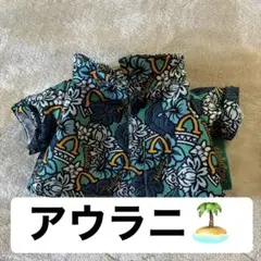 Aulani Disney Resort ジェラトーニ コスチューム　アウラニのサムネイル