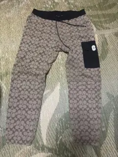 Item thumbnail for item 61fc9000-53ec-4566-aa8d-53c342a93cd5