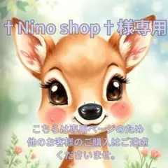 †Nino shop†様専用ページです。