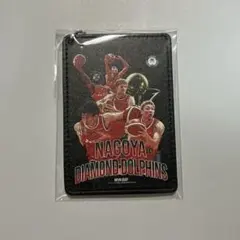 Bリーグ くじプラ 名古屋ダイヤモンドドルフィンズ パスケースのサムネイル