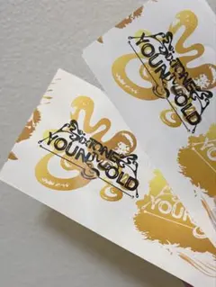 SixTONES YOUNG GOLD チケット　半券