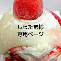 しらたま様専用ページ、ケーキ、パフェ、シフォンケーキ、サンド各種